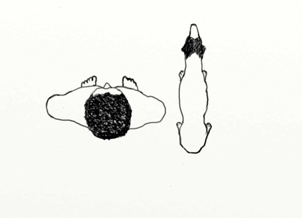 hitte